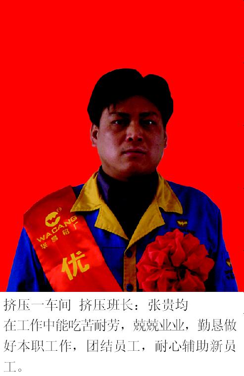 2008年度南宫NG28铝厂优异员工-伟昌铝材