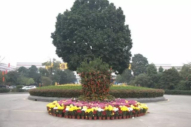 南宫·NG28(中国区)官方网站